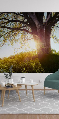 Poszter tájképTPT165